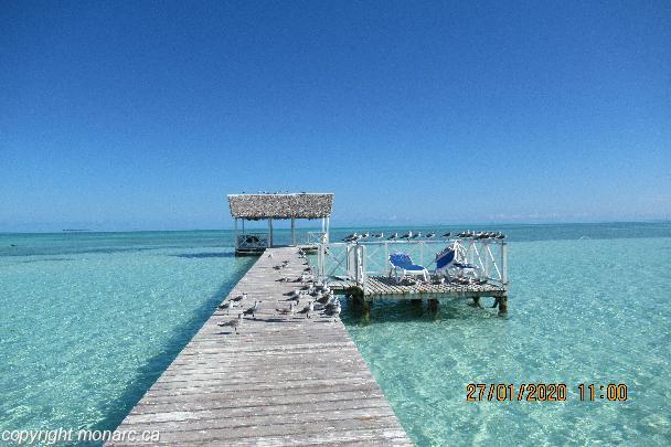 hotel starfish cayo guillermo cuba