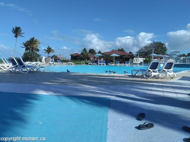 starfish-cayo-guillermo-hotel-cayo-guillermo-from-88-lastminute