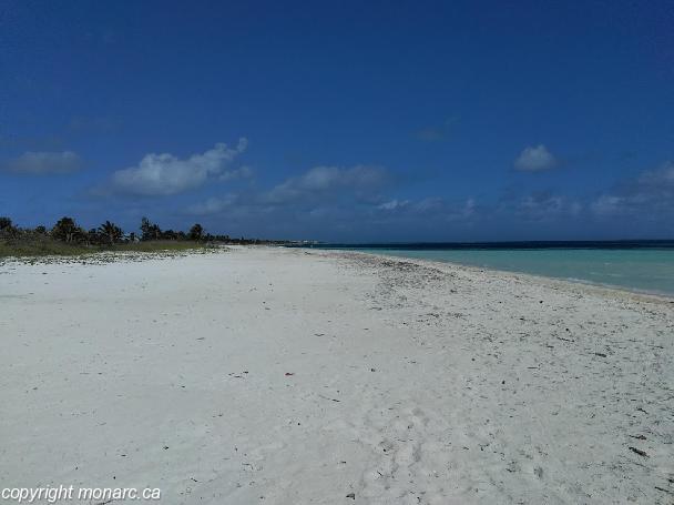 Reviews for Starfish Cayo Guillermo, Cayo Coco, Cuba | Monarc.ca ...