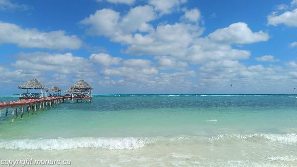 Traveller picture - Starfish Cayo Guillermo